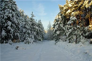 第三人称ARPG游戏《Abyss World : Apocalypse》Steam页面上线 支持简中